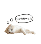 きなもなふきだしスタンプ（個別スタンプ：14）