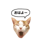 きなもなふきだしスタンプ（個別スタンプ：17）