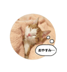 きなもなふきだしスタンプ（個別スタンプ：18）