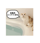 きなもなふきだしスタンプ（個別スタンプ：19）