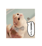 きなもなふきだしスタンプ（個別スタンプ：20）
