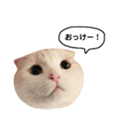 きなもなふきだしスタンプ（個別スタンプ：21）