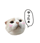 きなもなふきだしスタンプ（個別スタンプ：22）