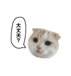 きなもなふきだしスタンプ（個別スタンプ：23）