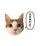きなもなふきだしスタンプ（個別スタンプ：24）