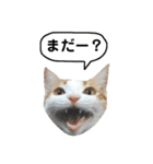 きなもなふきだしスタンプ（個別スタンプ：26）