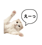 きなもなふきだしスタンプ（個別スタンプ：36）
