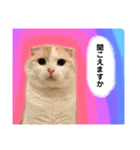 きなもなふきだしスタンプ（個別スタンプ：37）