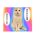 きなもなふきだしスタンプ（個別スタンプ：38）