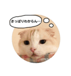 きなもなふきだしスタンプ（個別スタンプ：39）