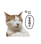 きなもなふきだしスタンプ（個別スタンプ：40）