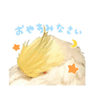 オカメインコのふくちゃんスタンプ2（個別スタンプ：23）