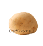 POTATOSTAMP第1弾（個別スタンプ：1）