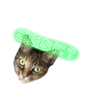 あたいの家族2（個別スタンプ：3）