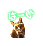 あたいの家族2（個別スタンプ：4）