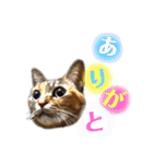 あたいの家族2（個別スタンプ：5）