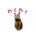 あたいの家族2（個別スタンプ：11）