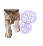 あたいの家族2（個別スタンプ：13）