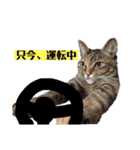 あたいの家族2（個別スタンプ：15）