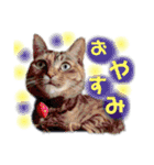 あたいの家族2（個別スタンプ：18）