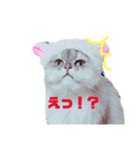 あたいの家族2（個別スタンプ：21）