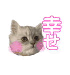 あたいの家族2（個別スタンプ：23）