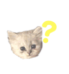 あたいの家族2（個別スタンプ：26）