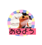 Hello、えりざべす（個別スタンプ：1）