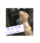 Hello、えりざべす（個別スタンプ：6）
