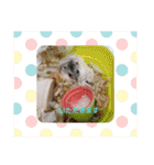 家の子スタンプ②（個別スタンプ：13）