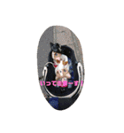 家の子スタンプ②（個別スタンプ：23）