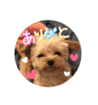 love my  dog2（個別スタンプ：2）
