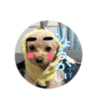 love my  dog2（個別スタンプ：3）