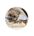 love my  dog2（個別スタンプ：4）
