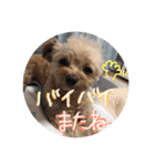 love my  dog2（個別スタンプ：10）