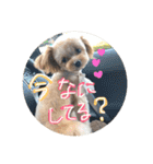 love my  dog2（個別スタンプ：18）
