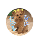 love my  dog2（個別スタンプ：19）