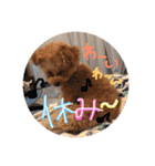 love my  dog2（個別スタンプ：22）