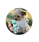 love my  dog2（個別スタンプ：23）
