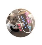 love my  dog2（個別スタンプ：26）