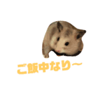 うさぎとハムスター。（個別スタンプ：2）