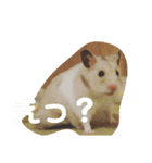 うさぎとハムスター。（個別スタンプ：5）