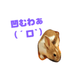 うさぎとハムスター。（個別スタンプ：8）
