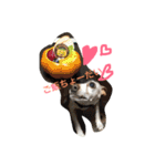 ミニピンのいる生活スタンプ（個別スタンプ：11）