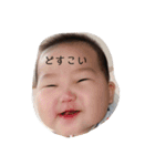 海花スタンプ（個別スタンプ：12）