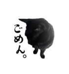 ぱとま 黒猫の兄弟（個別スタンプ：4）