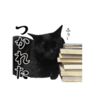 ぱとま 黒猫の兄弟（個別スタンプ：5）