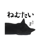 ぱとま 黒猫の兄弟（個別スタンプ：17）