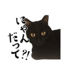ぱとま 黒猫の兄弟（個別スタンプ：25）