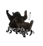 ぱとま 黒猫の兄弟（個別スタンプ：32）